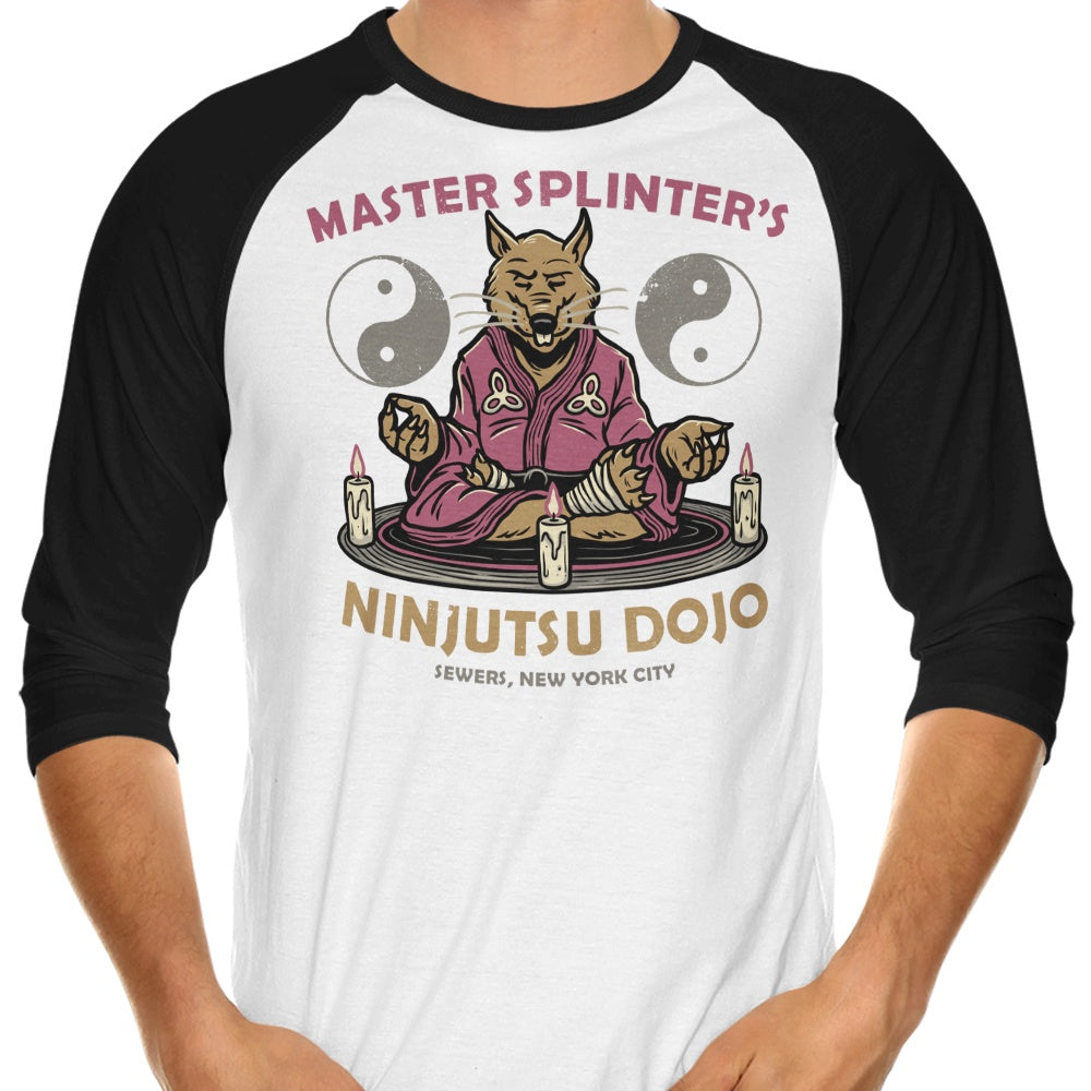 Glitchygorilla's Splinter's Dojo 3/4 Sleeve Raglan Casual T-Shirt for Daily Wear