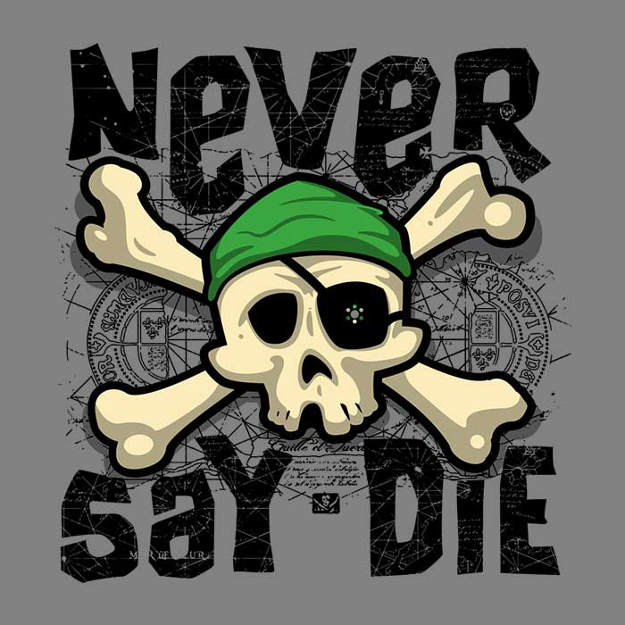 Inspirational 'Never Say Die' 3/4 Sleeve Raglan Style T-Shirt