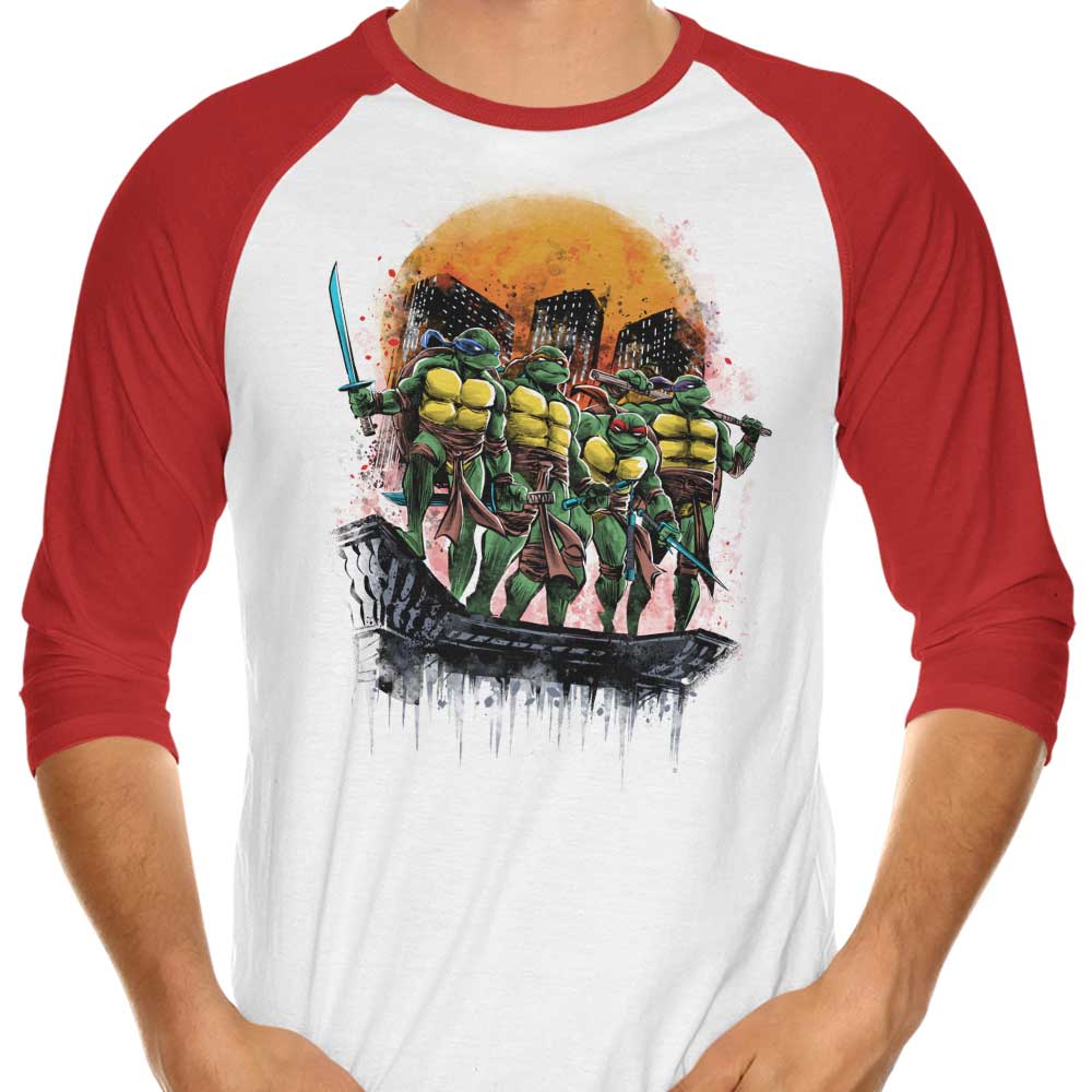Zascanauta's 3/4 Sleeve Raglan T-Shirt Featuring Turtles on the Roof