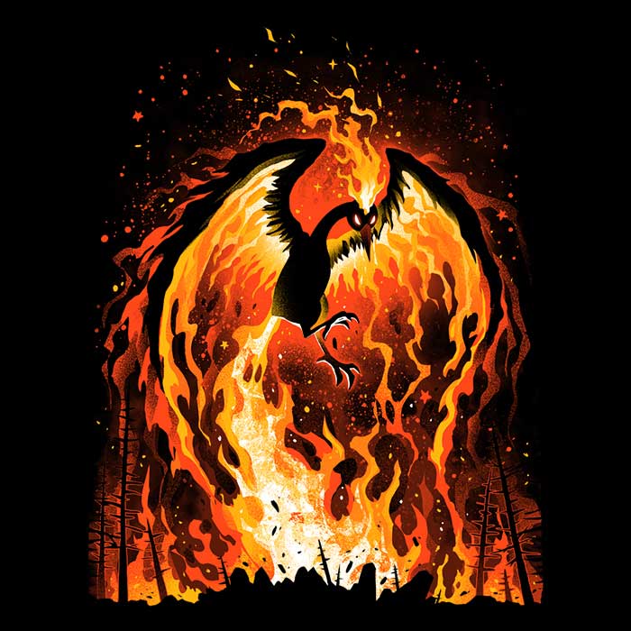 Stylish Fire Bird Men's Clothing Collection