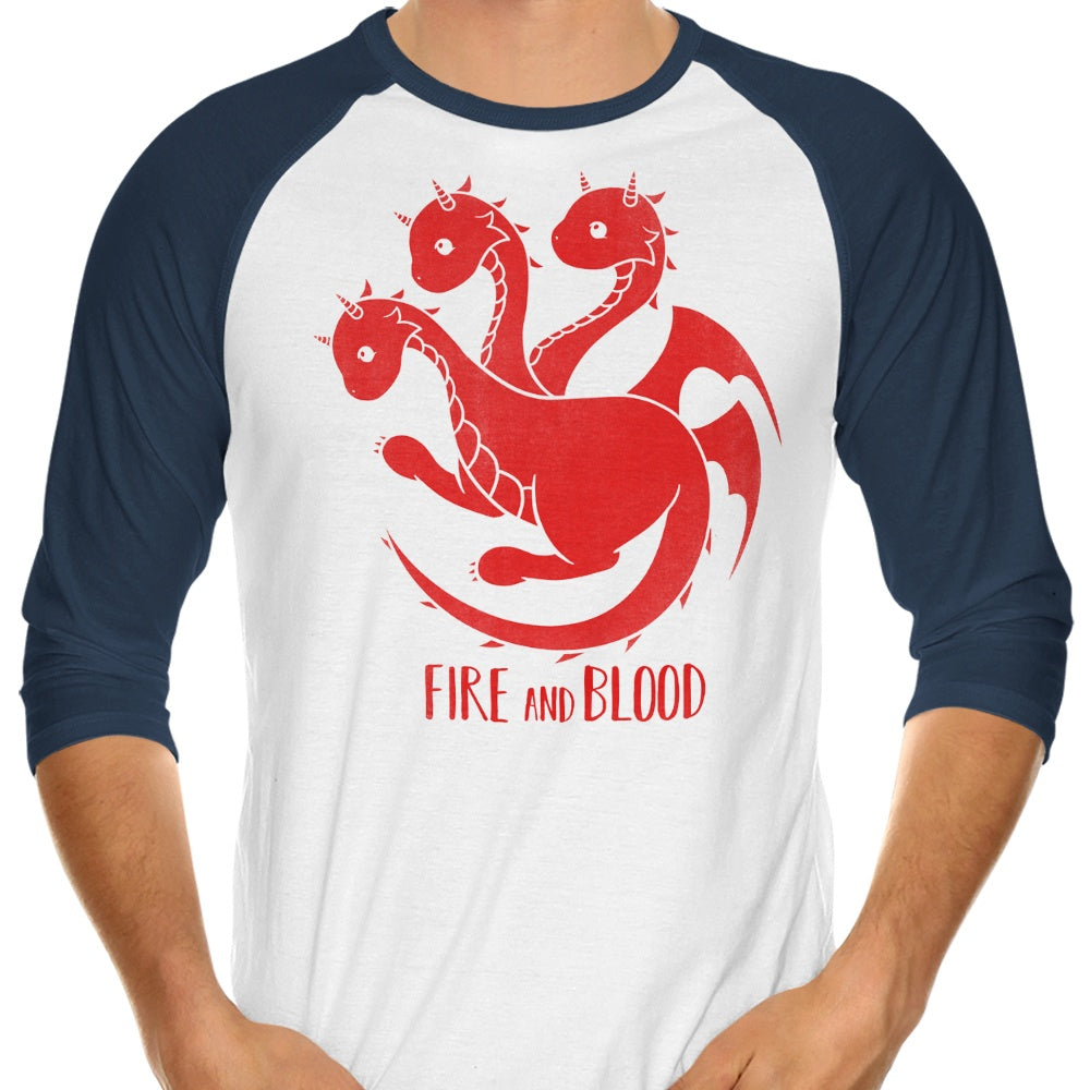 Adorable Dragon Themed 3/4 Sleeve Raglan Kawaii T-Shirt