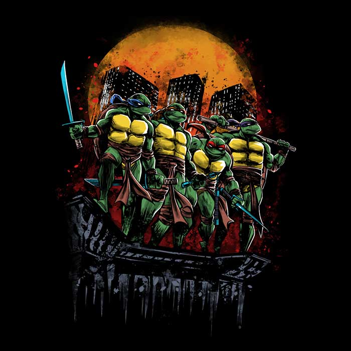 Zascanauta's 3/4 Sleeve Raglan T-Shirt Featuring Turtles on the Roof