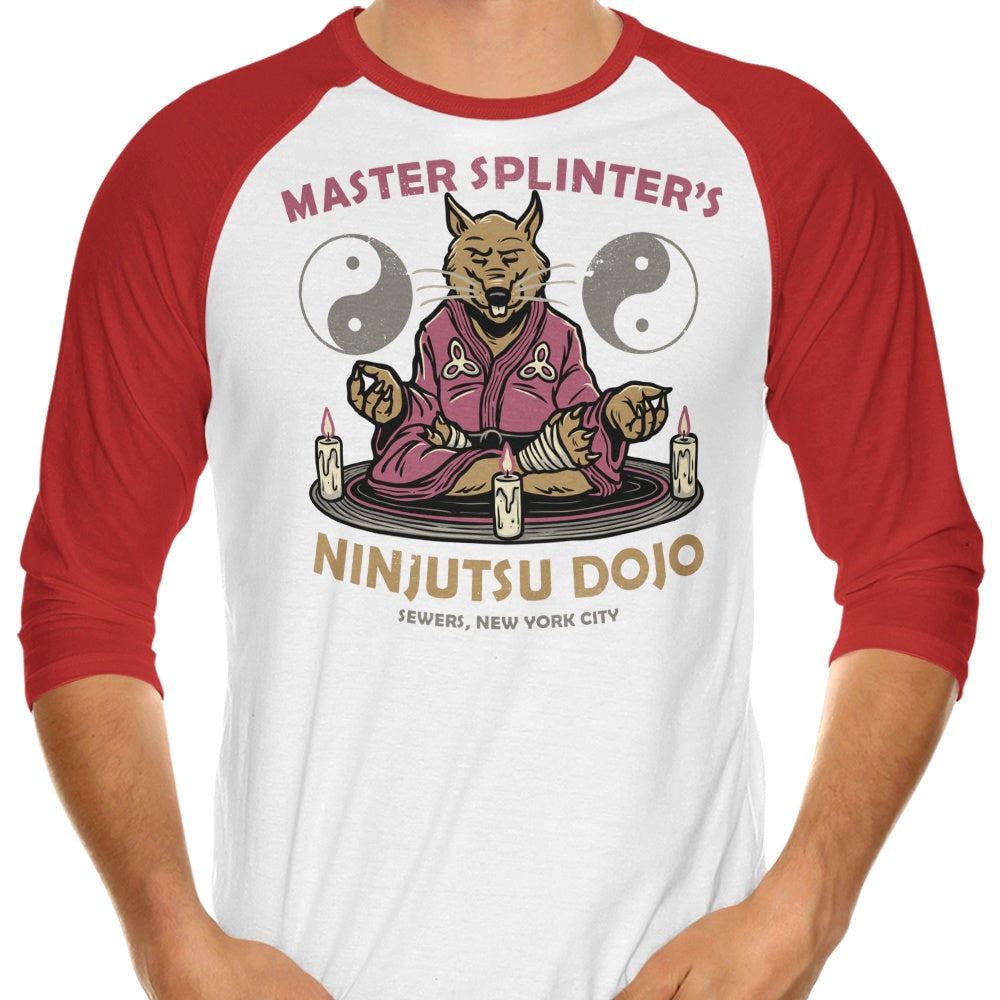 Glitchygorilla's Splinter's Dojo 3/4 Sleeve Raglan Casual T-Shirt for Daily Wear