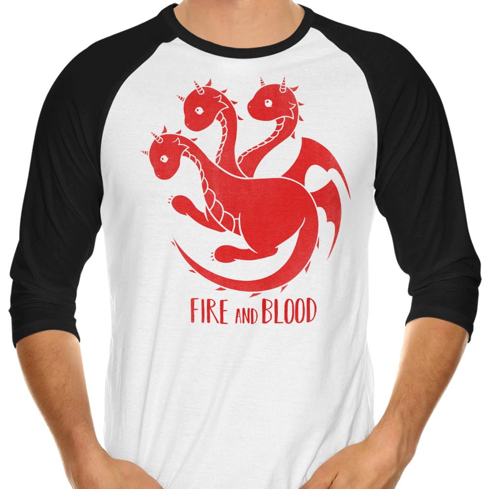 Adorable Dragon Themed 3/4 Sleeve Raglan Kawaii T-Shirt