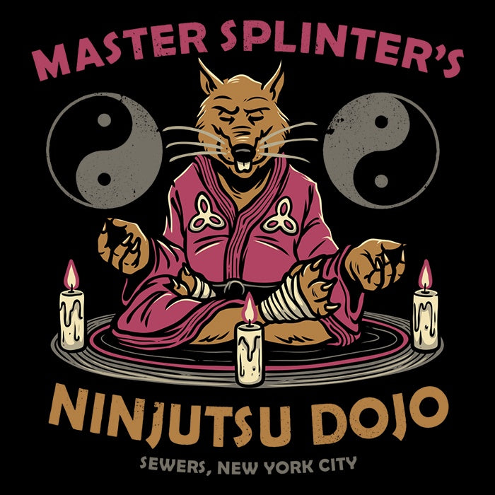 Glitchygorilla's Splinter's Dojo 3/4 Sleeve Raglan Casual T-Shirt for Daily Wear