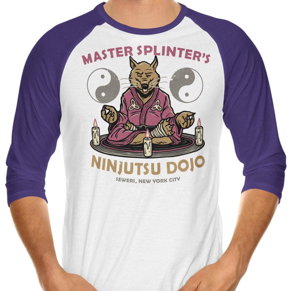 Glitchygorilla's Splinter's Dojo 3/4 Sleeve Raglan Casual T-Shirt for Daily Wear